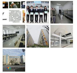 福州IT學校與軟件開發(fā)課程指南 為您鋪就技術(shù)職業(yè)之路